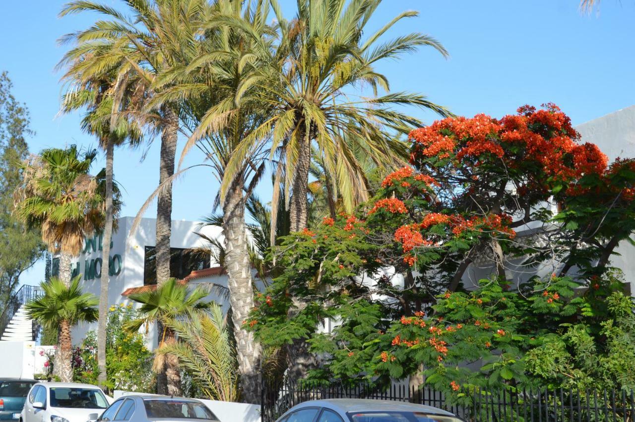 Ocean Loft Lägenhet Maspalomas  Exteriör bild